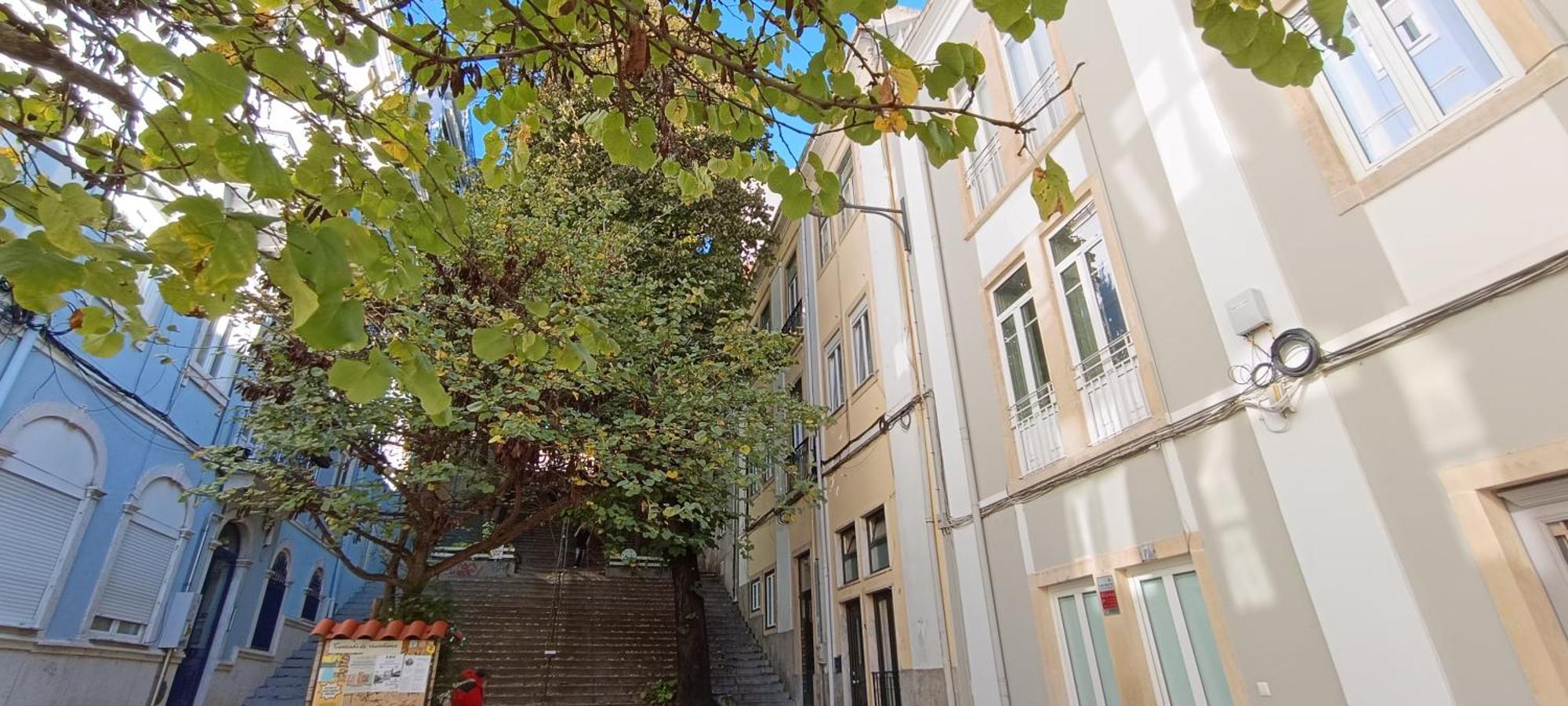 Apartment Anjos Lisbon